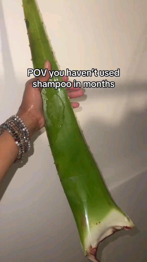 Natural Shampoo Diy, Homemade Natural Shampoo, Hair Growth Methods, Aloe Vera Shampoo, Curly Hair Beauty, Natural Hair Shampoo, Natural Hair Growth Tips, Aloe Vera For Hair, Shampoo For Curly Hair