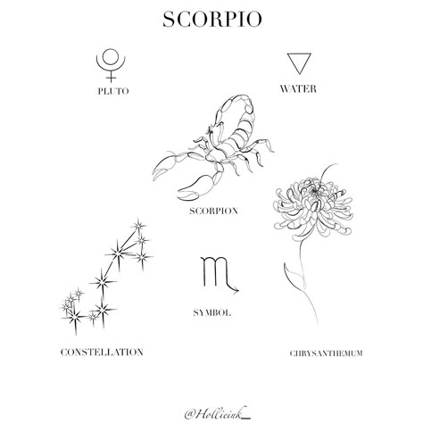 Scorpio And Chrysanthemum Tattoo, Hand Tattoos Skull, Tattoos Celtic, Tattoos Foot, Scorpio Constellation Tattoos, Scorpio Zodiac Tattoos, Tattoos Japanese, Tattoos Hand, Astrology Tattoo