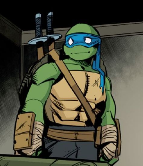 Turtle Pfp, I Like Turtles, Leo Tmnt, Teenage Mutant, Turtles