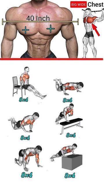 Exercise In Home, Bodyweight Back Workout, Chest Workout At Home, Chest Workout For Men, Gym Workout Guide, Workout Program Gym, Latihan Dada, Bodybuilding Workouts Routines, Trening Sztuk Walki