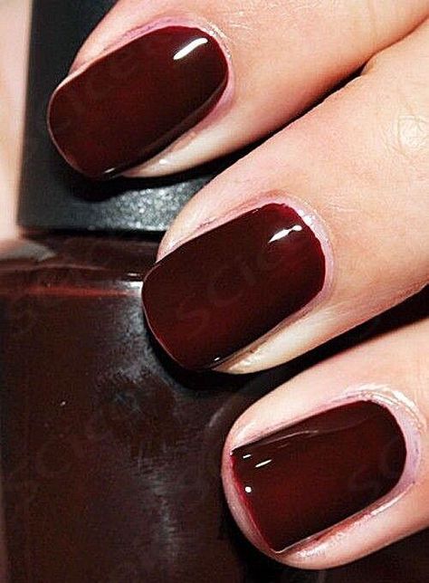 $19.95 Opi Winter Nails, Velvet Brown Nails, Fall Nail Colors Opi Gel, Opi Wine Colors, Fall Toe Nail Colors Pedicures, Opi Gel Polish Colors, Opi Fall Colors, Oxblood Nails, Brown Nail Ideas