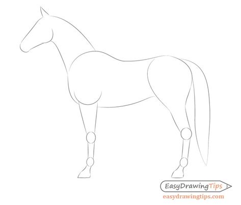 Side View Tutorial, Proportions Tutorial, Draw Proportions, Easy Horse Drawing, Horse Drawing Tutorial, Draw A Horse, Horse Outline, Body Draw, Diy Horse Barn