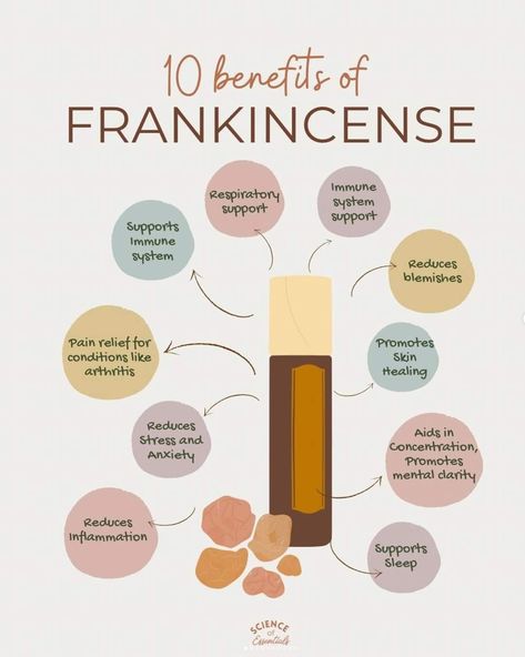 Who knew that Frankincense had so many uses? 
My favorite way to use Frankincense is for the dark circles under my eyes 👀 
Simply grab a roller ball bottle add a few drops of Frankincense fill the rest with your favorite carrier oil. Give it a good and roll it under your eyes 👀 gently rub in. I generally do this at night.

What's your favorite way to use Frankincense? Benefits Of Frankincense Oil, Benefits Of Frankincense, Frankincense Essential Oil Benefits, Frankincense Benefits, Essential Oils 101, Frankincense Oil, Essential Oil Benefits, Frankincense Essential Oil, Oil Benefits