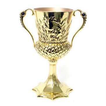 Hufflepuff Cup, Harry Potter Creatures, Batman Green Lantern, Harry Potter Items, Harry Potter Shop, Harry Potter Hufflepuff, Marvel Daredevil, Bellatrix Lestrange, Lilo Et Stitch