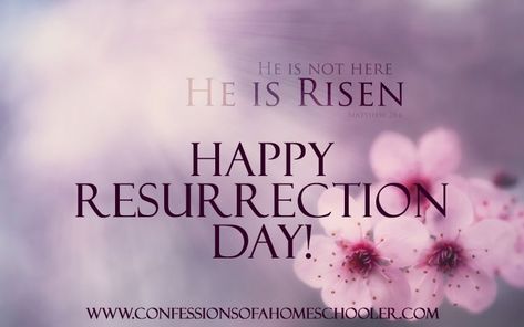 Happy Resurrection Day 2015! - Confessions of a Homeschooler Happy Easter Quotes Jesus Christ, Resurrection Quotes, Happy Resurrection Day, Happy Resurrection Sunday, Jesus Christ Resurrection, Special Occasion Quotes, Happy Resurrection, Risen Christ, Resurrection Day