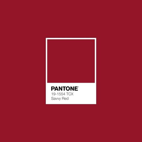 Download Free Adobe Illustrator Palette in .ase • #pantone #colorharmony #pantonecolor #fallcolors #colorswatches #color #colorcombos #fallcolors #palettes #colorschemes #pantone2020 #colortrends #pantoneaesthetic #pantonered • Whitecap Gray, Savy Red, Porcini, Pantone Palette, Pantone Color, Pantone, Mustang, Color Trend, Color Scheme, Color Palette, Aragon Tcx Pantone, Pantone Red, Pantone Colour Palettes, Red Colour Palette, Red Fall, Fall Color Palette, Palette Color, Color Palette Design, Color Harmony