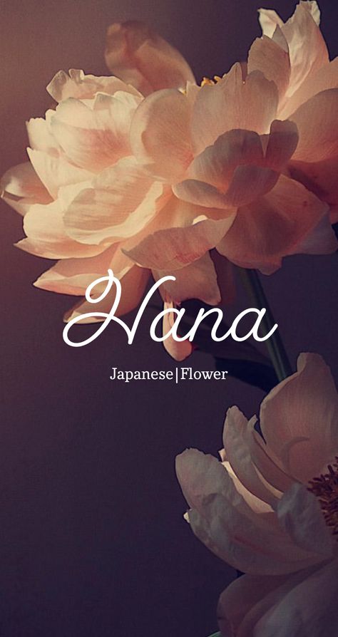 Hana Wallpapers Name, Hana Name Meaning, Hana Name, Insta Sticker, Exotic Names, Fav Aesthetic, Bts Name, Japanese Funny, Pretty Names