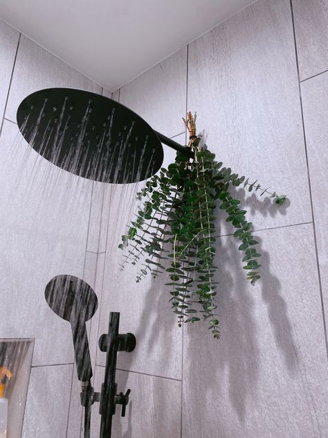 Eucalyptus On Shower Head, Shower Head Plant, Plant Over Shower Head, Shower Head Decor, Plant On Shower Head, Shower Head Aesthetic, Eucalyptus Shower Head Aesthetic, Eucalyptus In Shower Bathroom, Eucalyptus Shower Head