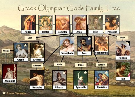 Greek God Family Tree: Free and Printable Greek Gods Family Tree, Tree Worksheet, Family Tree Drawing, Greek Mythology Family Tree, Genealogy Templates, Family Tree Worksheet, Olympian Gods, Family Tree Printable, Greece Mythology