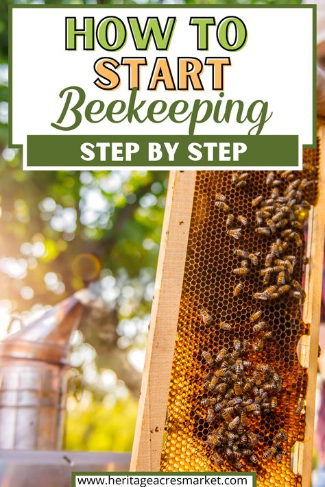 How To Start Raising Honey Bees, How To Raise Bees, Diy Bee Keeping, Starting Bee Keeping, How To Become A Bee Keeper, How To Start A Bee Farm, How To Start A Bee Hive Beekeeping For Beginners, How To Bee Keep, Raising Honey Bees Beekeeping