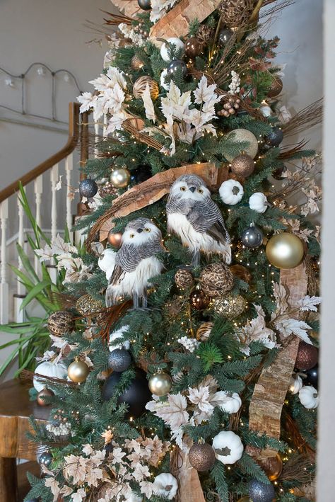 Fall Decor Christmas Tree Idea - Home Decor and Home Improvement DIY Tutorials Christmas Tree Woodsy Theme, Woodsie Christmas Tree, Christmas Tree With Bird Theme, Kirkland Christmas Decor 2022, Owl Christmas Decor, Winter Forest Christmas Tree, Woodland Creatures Christmas Tree, Woodland Theme Christmas Decorations, Wildlife Christmas Tree Ideas