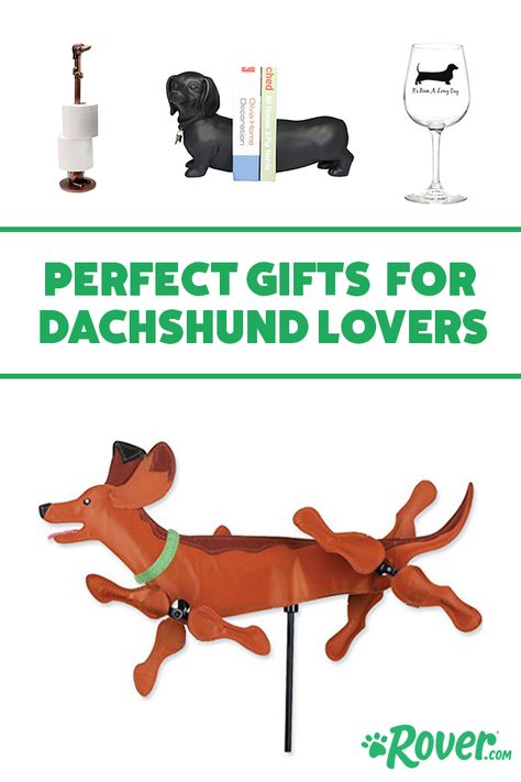 Dachshund Wedding, Dachshund Decor, Dachshund Stuff, Dachshund Birthday, Gifts To Buy, Baby Dachshund, Dog Birthday Gift, Dachshund Design, Dachshund Shirt