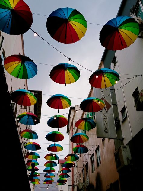 Laluan Kreatif Sandakan, Umbrella