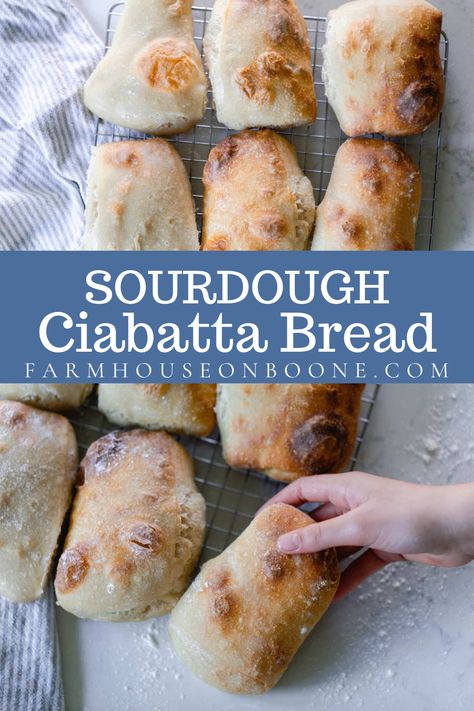 Irresistibly chewy, this sourdough ciabatta bread recipe has a deliciously addicting open crumb texture on the inside with a gently crisped outside. Dip in oil as an appetizer, or use this bread for your next sandwich lunch. Ciabatta Rolls Recipe, Sourdough Ciabatta, Ciabatta Rolls, Ciabatta Bread Recipe, Easy Sourdough Bread Recipe, Recipe Using Sourdough Starter, Sourdough Rolls, Plat Vegan, Sourdough Starter Discard Recipe