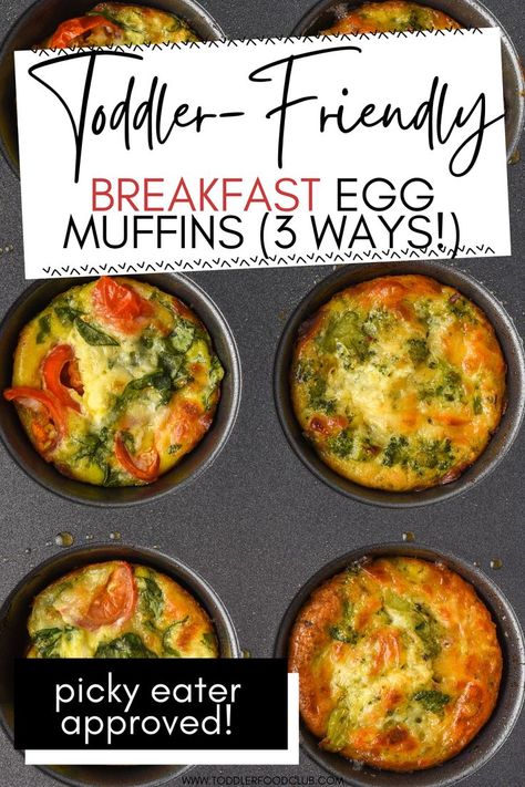 Veggie Egg Muffins Breakfast, Egg And Veggie Muffins, Protein Snack Ideas For Kids, Easy Blw Lunch, Kids Egg Breakfast Ideas, Healthy Toddler Muffins Hidden Veggies, Veggie Breakfast Muffins, Vegetarian Breakfast Muffins, Toddler Make Ahead Breakfast