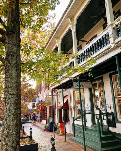 Helen to Dahlonega Fall Road Trip | Official Georgia Tourism & Travel Website | Explore Georgia.org Things To Do In Dahlonega Ga, Helen Georgia Fall, Dalonagha Georgia, Fall In Georgia, Dahlonega Georgia Christmas, Dahlonega Georgia Things To Do, Georgia Road Trip, Georgia Getaways, Atlanta Trip