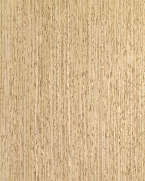 white oak wood - Google Search Wood Panel Texture, Oak Wood Texture, Veneer Texture, Primary Bath, White Oak Wood, Sonoma Oak, Bodo, Wood Ceilings, White Paneling