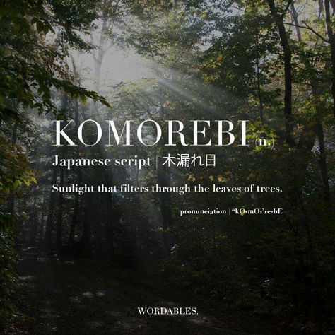 Nice Beautiful Japanese Words, Japanese Practice, Vision Board Diy, Japanese Stuff, Japanese Quotes, Uncommon Words, Japanese Language Learning, Descriptive Words, Travel Japan