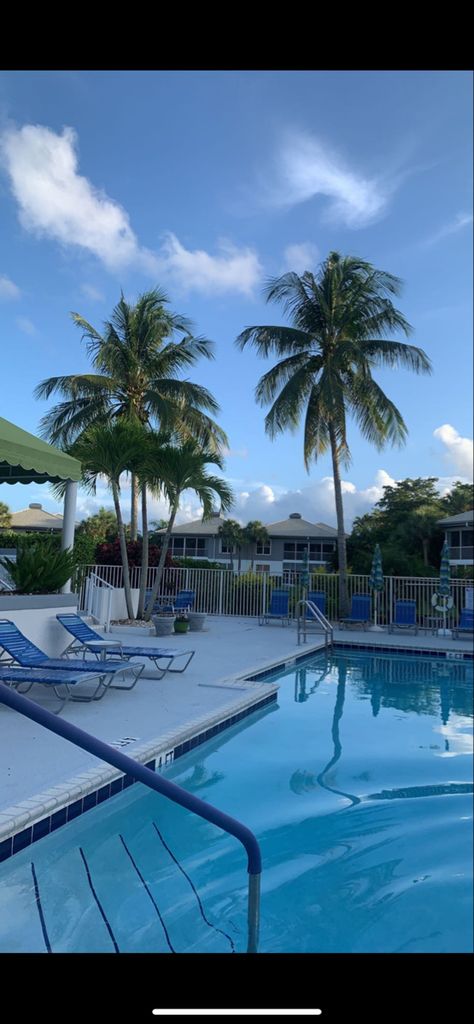 Sky Photos Aesthetic, Pool Day Aesthetic, Pool Palm Trees, Aesthetic Pool, Aesthetic Tropical, Future Board, Florida Aesthetic, Florida Pool, Summer Wallpapers