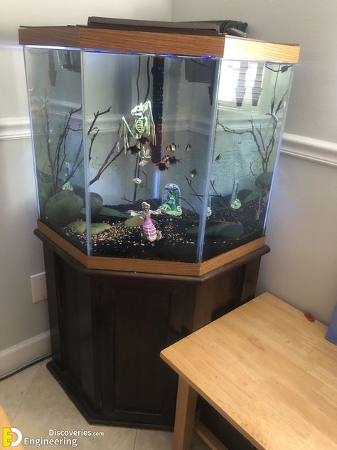 Hexagon Fish Tank Ideas, Hexagon Fish Tank, Aquarium Coffee Table, Fish Tank Stand, Amazing Aquariums, Bar Stand, Tank Stand, Aquarium Stand, Freshen Up Your Home