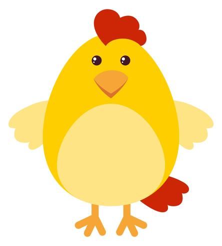 Cute chicken on white background Chicken Clip Art, Welcome Signs Front Door, Animated Pictures, Cute Chicken, Cute Chickens, Cute Face, White Chicken, Art N Craft, Diy Easter