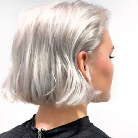 platinum10 Bright Blonde Bob Short, Short Bob White Hair, Platinum Blonde Short Bob, Chin Length Platinum Blonde Hair, Short Hair Platinum Blonde, White Blonde Hair Short, Total Blonde Hair, Short White Blonde Hair, White Hair Bob