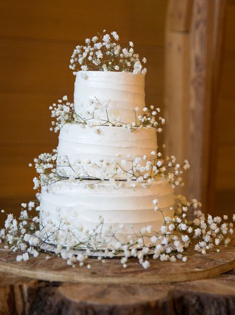 Baby's Breath inspired wedding cake Centerpiece Stands Wedding, Rustic White Wedding Cake, Wedding Cake Simple White, Baby Breathe Center Piece Wedding, Gypsophila Wedding Cake, Cannoli Wedding Cake, Babies Breath Wedding Arch, Wedding Cake Simple Flowers, Wedding Cake Pearls And Flowers