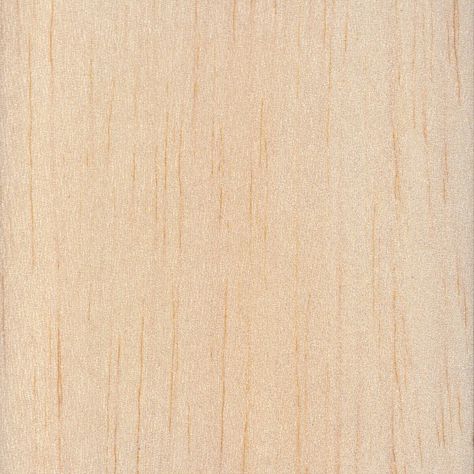 Wood Panel Texture, Wood Texture Seamless, Work Stations, Balsa Wood, Furniture Restoration, Wood Board, Model Making, Wood Texture, Wood Species