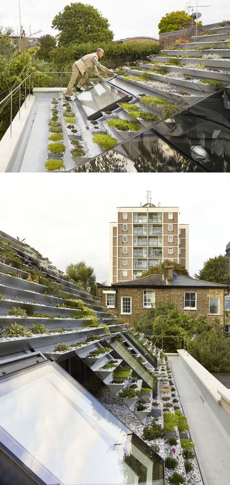 This green roof on a home in London, has a series of terraced stainless steel planters filled with over 800 plants. Terrace Roof, Green Roof House, Green Roof Building, Roof Decoration, Living Roofs, Roof Architecture, Patio Roof, Green Architecture, Rooftop Garden