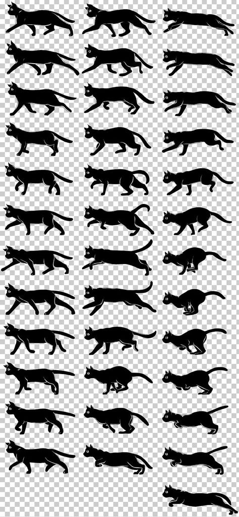 Cat Angles Reference, Cat Walking Animation Cycle, Animal Walk Cycle Animation, Cat Walk Cycle Animation, Cat Animation Reference, Cat Walking Reference, Walking Drawing Poses, Cat Drawing Walking, Animal Walk Cycle