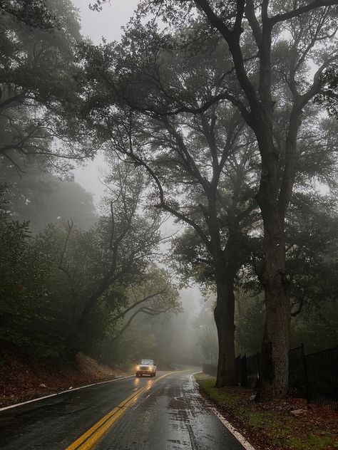 #forrest #gloomy #foggy #folklore #mountains #nature #trees #twilight #autummaesthetic #fallaesthetic #rainydays #rain #cozy #fall Rainy Twilight Aesthetic, Foggy Road Aesthetic, Foggy Fall Vibe, Rainy Mountains Aesthetic, Foggy Mountain Aesthetic, Foggy Fall Aesthetic, Rain In Mountains, Foggy Day Aesthetic, Gloomy Mountains