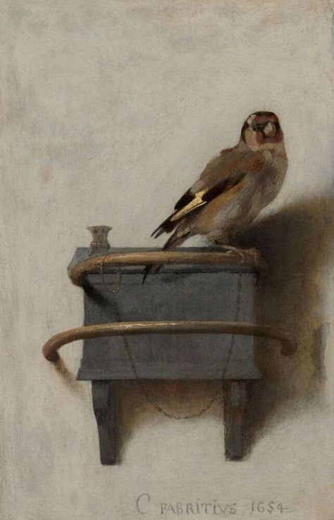 Goldfinch, The Goldfinch Book, Carel Fabritius, The Goldfinch, Birds Art, Donna Tartt, Art Classique, Dutch Painters, The Secret History