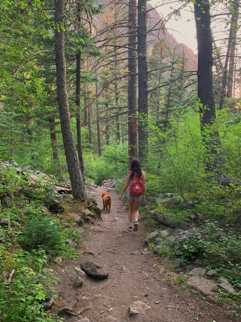 Outdoors, hiking,pine creek, nature, dog, summerhiking outfit, backpacks, Nature, 2024 Vision Board Hiking, Dog In Nature Aesthetic, Vision Board Pictures Outdoors, Hiking With Dogs Aesthetic, Dogs Vision Board, Vision Board Hiking, Summer Hike Aesthetic, Hiking Vision Board