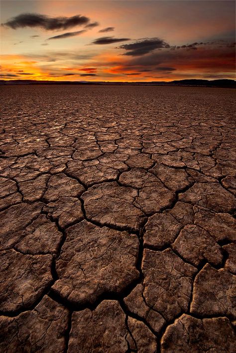 Water In Desert, Rain In Desert, Salt Desert, Cracked Desert Landscape, Dry Earth, Desert Plains, American Desert, On A Dark Desert Highway, The Way Of Kings