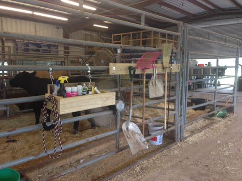 FFA barn heifer stall grooming box and tool hangar Show Box Ideas Livestock Diy, Livestock Show Stall Signs, Show Cows Supplies, Cattle Show Box Ideas, 4h Stall Signs, Show Barn Ideas Cattle, Show Cattle Barn Layout, Cow Barn Ideas, Show Cattle Barn