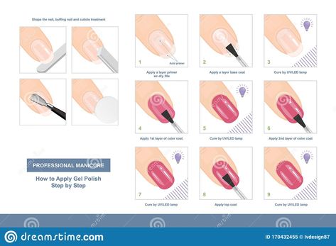 Illustration about How to Apply Gel Polish Step by Step. Professional Manicure Tutorial. Vector illustration. Illustration of correction, coat, apply - 170432455 How To Apply Nail Polish Step By Step, Gel Polish Steps, Gel Polish Step By Step, Dry Manicure Step By Step, Gel Nail Step By Step, Manicure Tutorial Step By Step, How To Apply Gel Nail Polish At Home, Russian Manicure Step By Step, Gel Nail Tutorial Step By Step