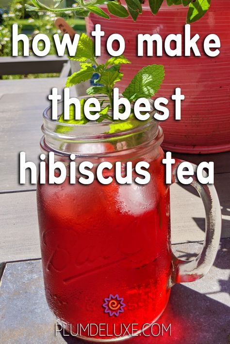 Hibiscus Tea How To Make, Hibiscus Tea From Fresh Flowers, Hibiscus Cinnamon Tea, Homemade Hibiscus Tea, Hibiscus Tea Recipe How To Make, Hisbusic Tea, Hibiscus Sun Tea, Hibiscus Ice Tea Recipe, Hibiscus Flower Tea Recipe