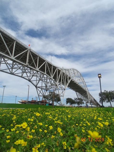 Corpus Christi TX Harbor Bridge  March 2019 Texas, Harbor Bridge, Corpus Christi Tx, Bridge