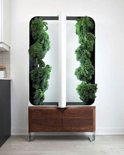 #productdaily Aeva, a stylish indoor garden designed by Conner Tidd & Kevin Jakiela ---------------------------------------------- Follow… Hydroponics System Design, Hydroponics Aesthetic, Hydroponics Design, Biophilic Design Interiors, Sustainable Product Design, Indoor Farming, Arch Ideas, Hydroponic Growing, Vertical Farming