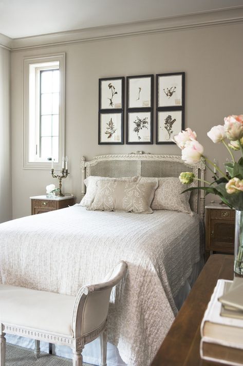 SW anew gray...our interior paint. Love it. Anew Gray, Transitional Bedroom, Traditional Bedroom, Stylish Bedroom, Elegant Interiors, Bedroom Paint, Ideas Pictures, Master Bedrooms Decor, Remodel Bedroom