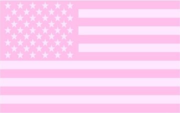 Bulletin Boards Office, Pink American Flag, I Love Pink, Framed Cork Board, Cute Headers, Dorm Room Inspiration, Website Backgrounds, Barbie Life, America Flag