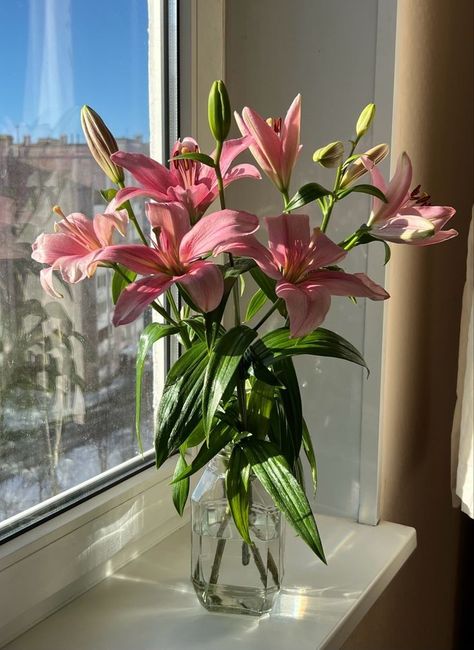 Lilys In A Vase, Lilium Flower Bouquets, Rose Lily Flower, Flower Bouquet Lilies, Flowers In A Vase Aesthetic, Lily Aesthetic Flower, Flowers In Vase Aesthetic, Lily Bouquet Aesthetic, Pink Lillies Bouquet