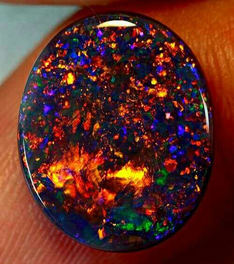 Black Fire Opal Pretty Rocks, Beautiful Rocks, Lightning Ridge, Mineral Stone, Minerals And Gemstones, Rocks And Gems, Precious Gems, Gems And Minerals, Gems Jewelry