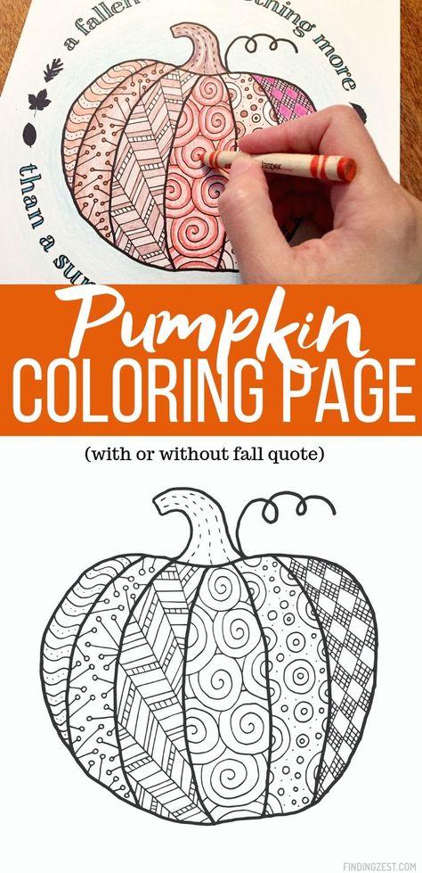 This pumpkin coloring page is the perfect fall option for anyone who loves to color. Great for kids and adults alike, this free coloring printable is offered with and without a fall quote. #freeprintable #coloring #coloringpage #pumpkincoloring Fall Adult Coloring Pages Free Printable, Free Fall Coloring Pages Printables, Pumpkin Coloring Sheet, Halloween Pumpkin Coloring Pages, Fall Coloring Sheets, Halloween Coloring Pages Printable, Pumpkin Coloring, Free Fall Printables, Fall Quote