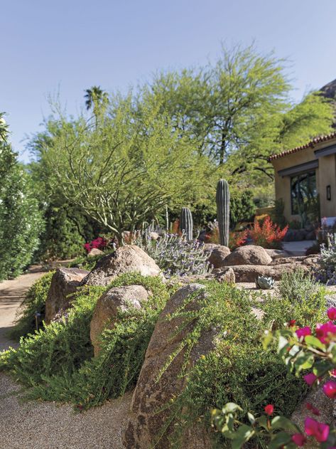 A Stunning Hillside Estate Features Winding Walkways and Colorful Florals - Phoenix Home & Garden Cactus Landscape, Desert Gardens, Rock Fountain, Colorful Florals, Desert Living, Phoenix Homes, Gardening 101, Desert Garden, Garden Guide