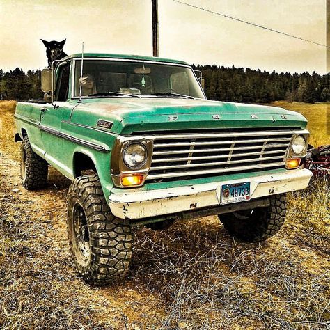 Sometimes you have to get your girl a little dirty. #repost #F100 #bumpside #FoMoCo #fordracing #builtfordtough #slammed #truckin #patina… Truck Seats Ideas, Old Ford Trucks Vintage, 1970 Chevy Truck, Vintage Ford Trucks, Pretty Trucks, Country Trucks, Future Vehicles, Trucks Lifted Diesel, Ford Ranger Truck