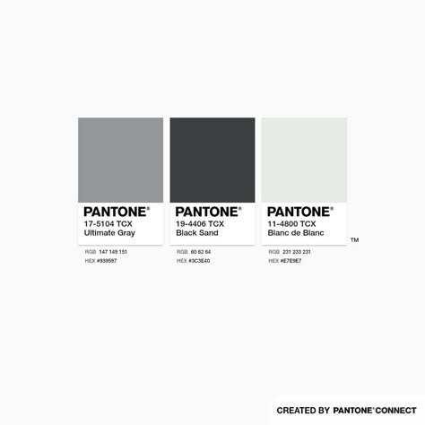 Ultimate Gray, Black Sand & Blanc De Blanc Black And White Colour Pallete, Black And White Pallet, Grey Color Names, Grey Color Pallets, Black Room Aesthetic, Closet Revamp, Silver Color Palette, Home Wall Colour, Portfolio Theme