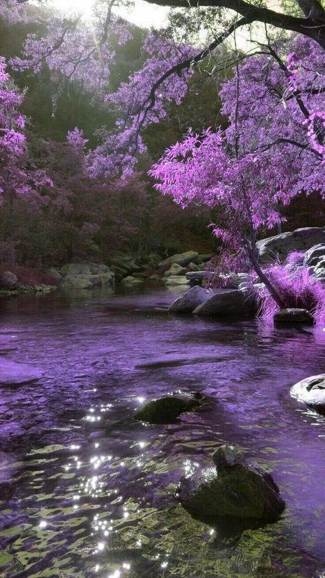 Chill Places Nature, Purple Scenery Wallpaper, Purple Nature Aesthetic, Purple Place Aesthetic, Nada Core, Purple Place, Rainy Wallpaper, Wallpaper Purple, Lavender Aesthetic