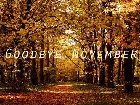 Goodbye November, November Images, November Quotes, Monthly Quotes, Heather Stillufsen, Quote Pictures, November Calendar, Hello November, Enjoy The Day