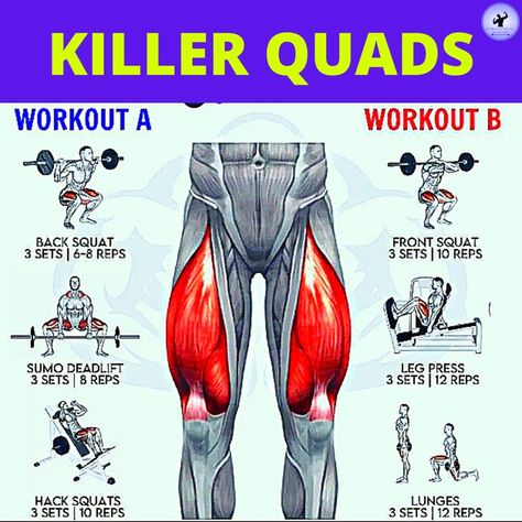 Inner Quads Workout, Teardrop Quad Workout, Quad Excersizes, Building Quads Muscles, Leg Killer Workout, Quads Workout At Home No Equipment, Massive Quads Workout, Quads Before And After, How To Get Bigger Quads